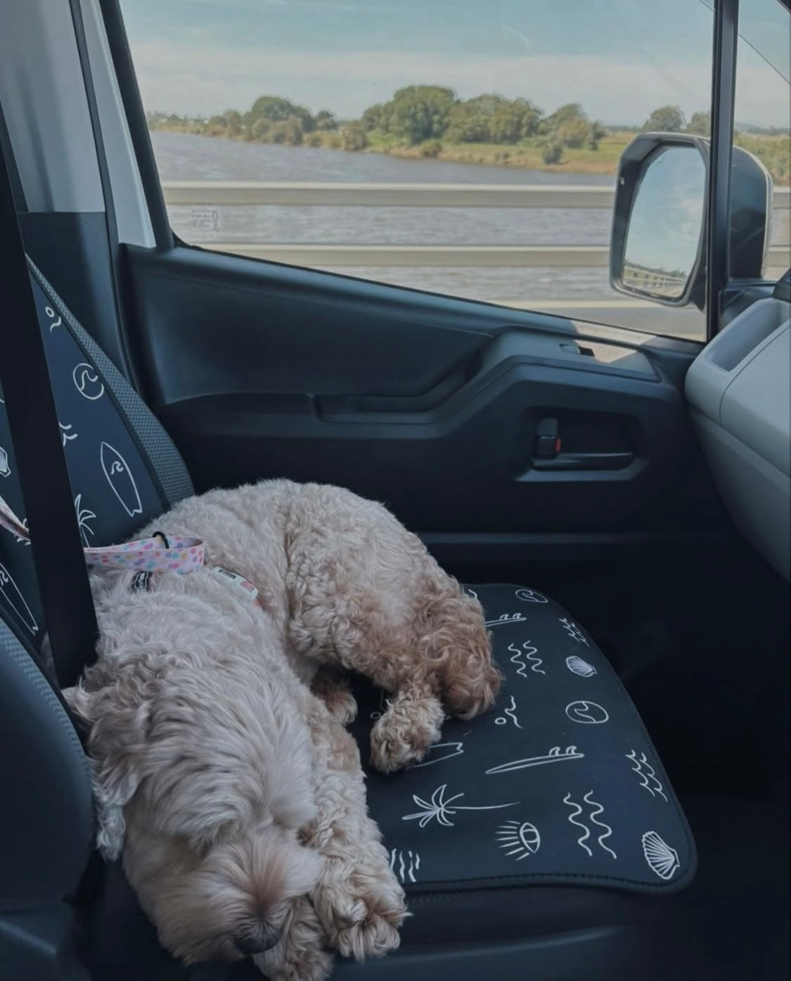 Black and white surf print. Includes surfboards, shells, palm tree, and waves. Set of two shown on the front seats. Easy to install made out of neoprene. Dog sleeping on passenger seat car seat cover. Great protection